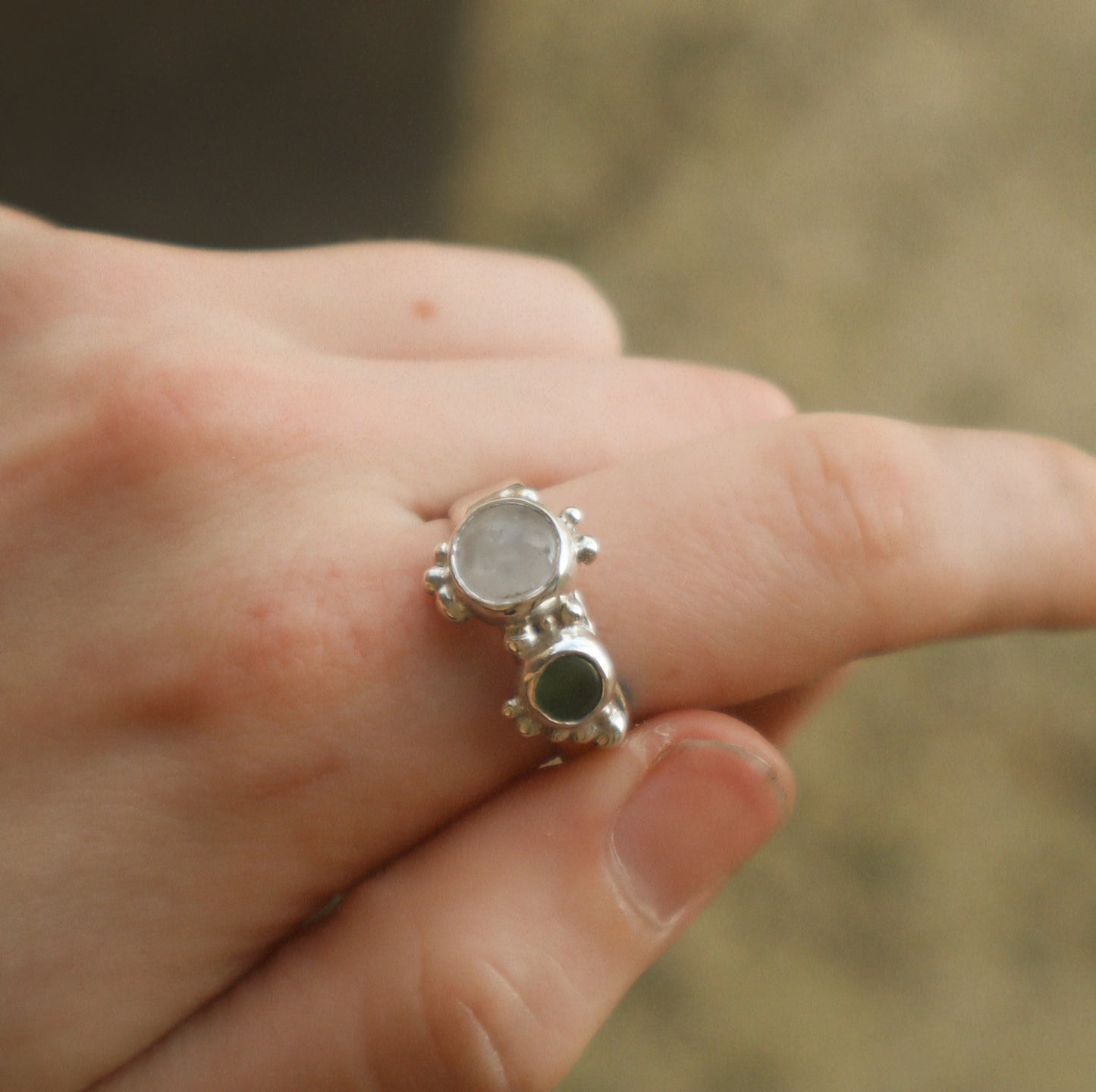 Eucalyptus Tree Ring