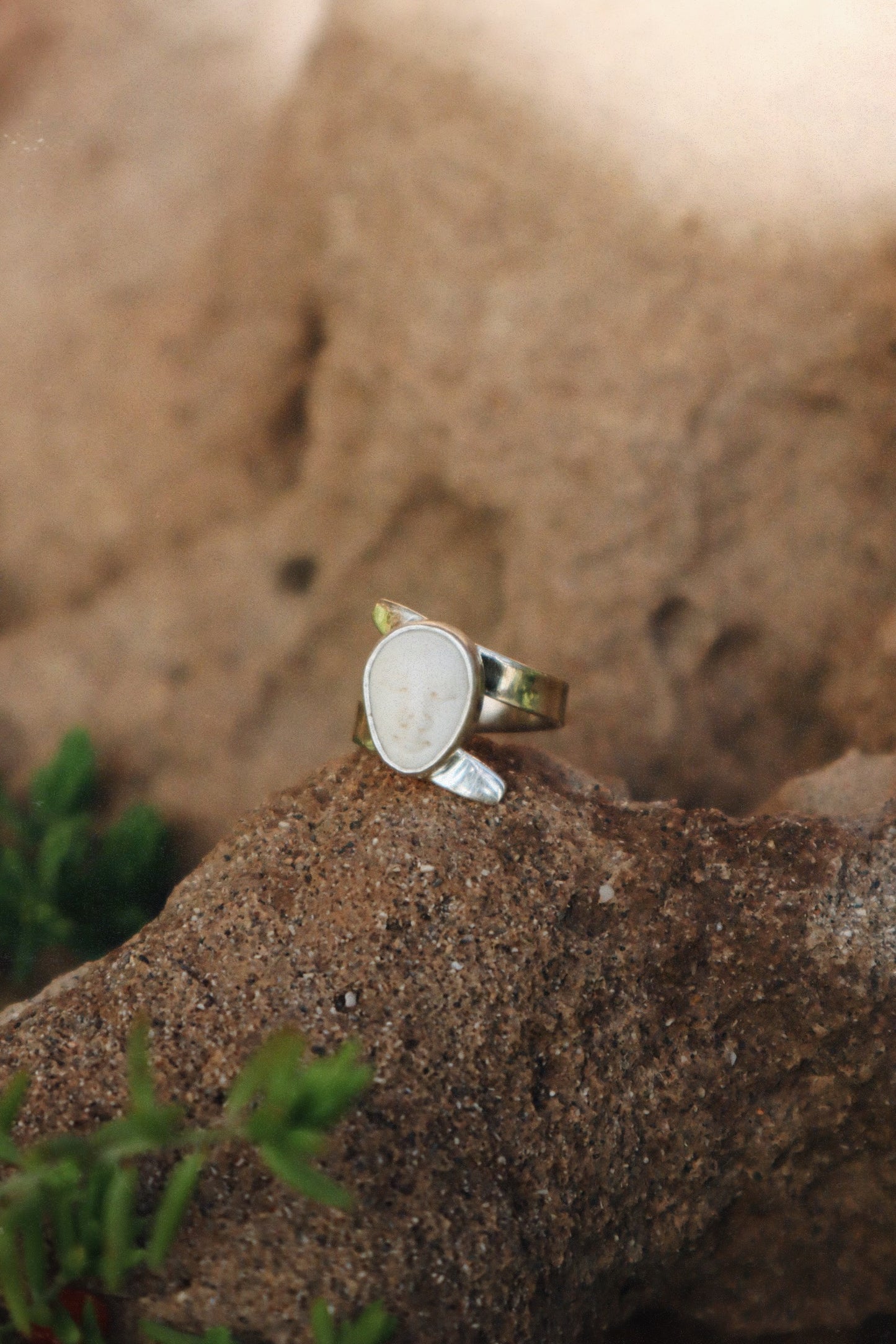 O Dharma Ring