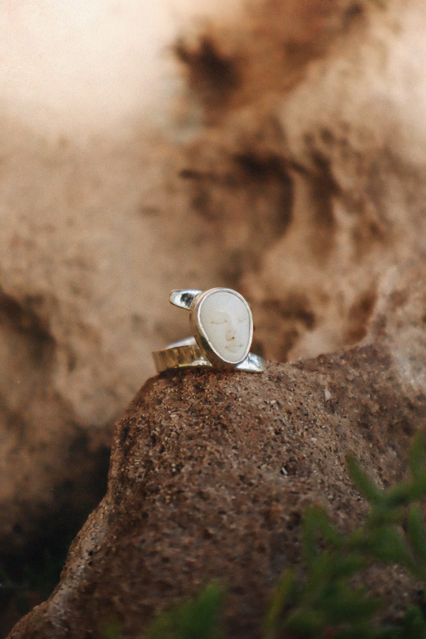 O Dharma Ring